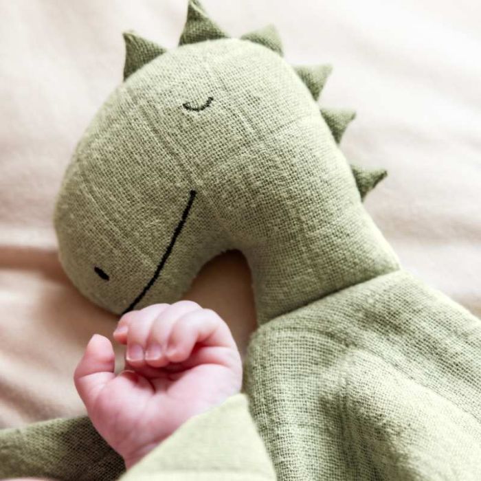 Grand doudou dino à personnaliser pour bébé