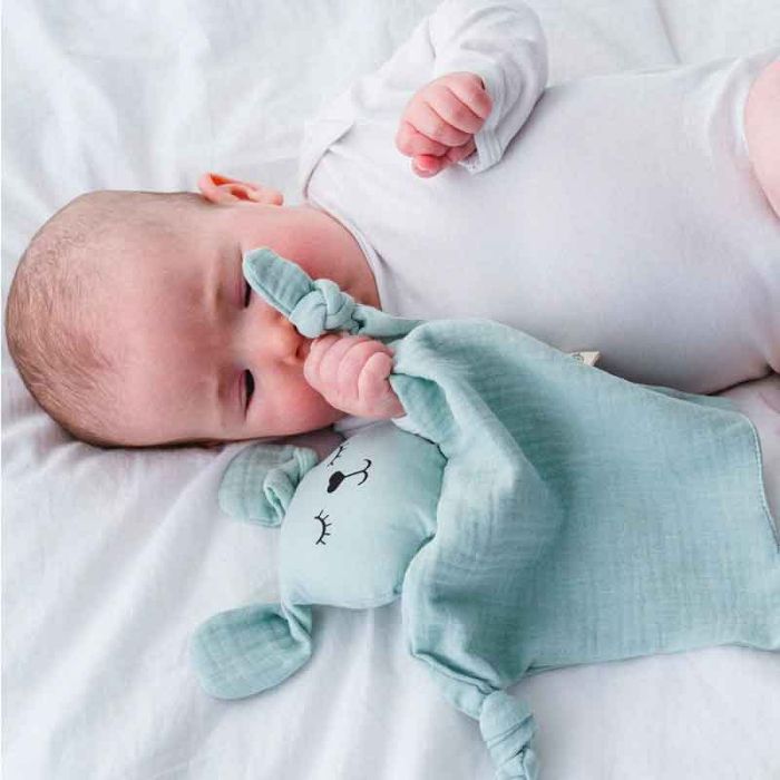 bébé et son doudou bio