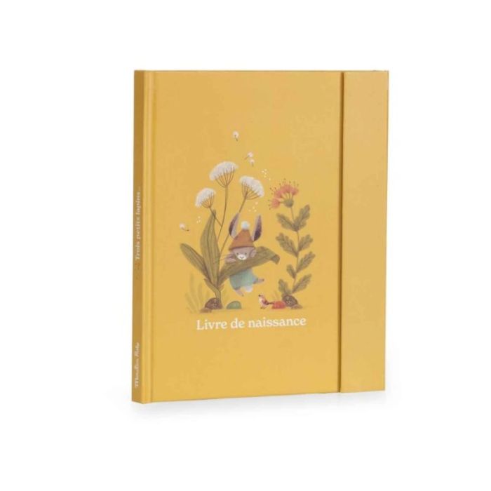 livre de naissance trois petits lapins de moulin roty