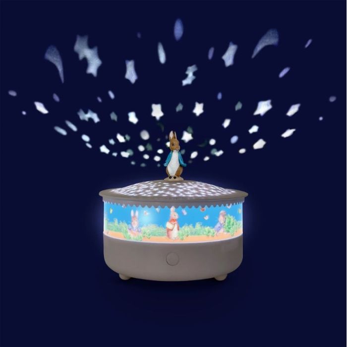 Projecteur d'étoile et veilleuse musicale