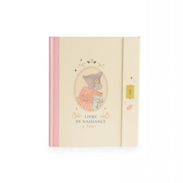 livre de naissance, souris de la petite école de danse, collection moulin roty