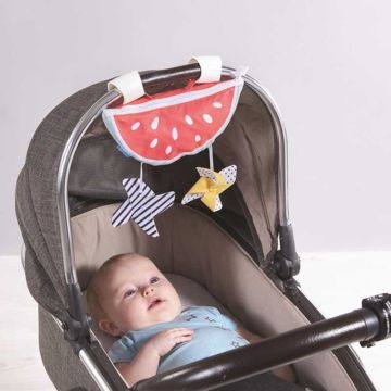 Pare Soleil Voile Ombrage pour poussette Pastèque Taf Toys