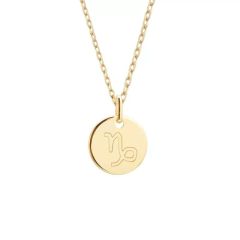 Collier signe Capricorne