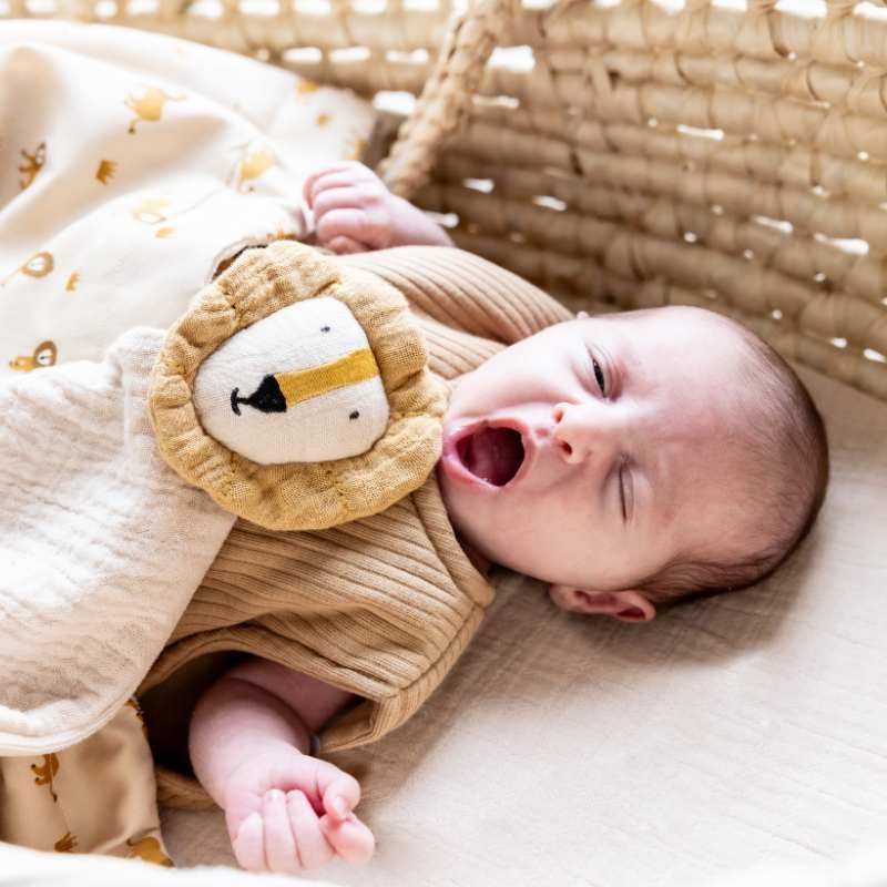 Doudou lion et bébé pour cadeau de naissance