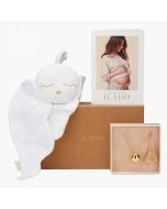 Coffret Cadeau Grossesse Ilado, Collier Bola or jaune et Doudou bébé