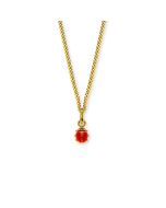 Chainette et Pendentif Coccinelle, Bijoux Enfant Or 375, Chaine 38 cm, Livraison Gratuite Suisse