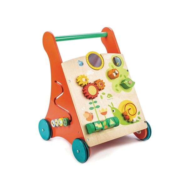 Trotteur Activités pour apprendre à marcher, Chariot bébé 12 mois Tender  Leaf Toys