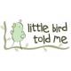 Little Bird Told Me