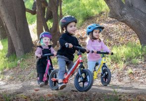 Qu'est-ce qu'une draisienne?